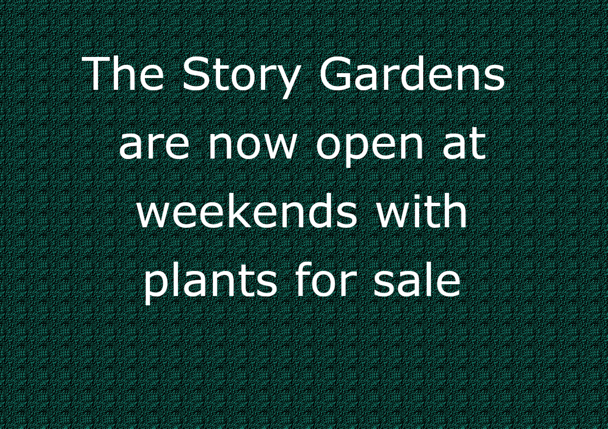 The Storey Gardens are now open at weekends with plants for sale